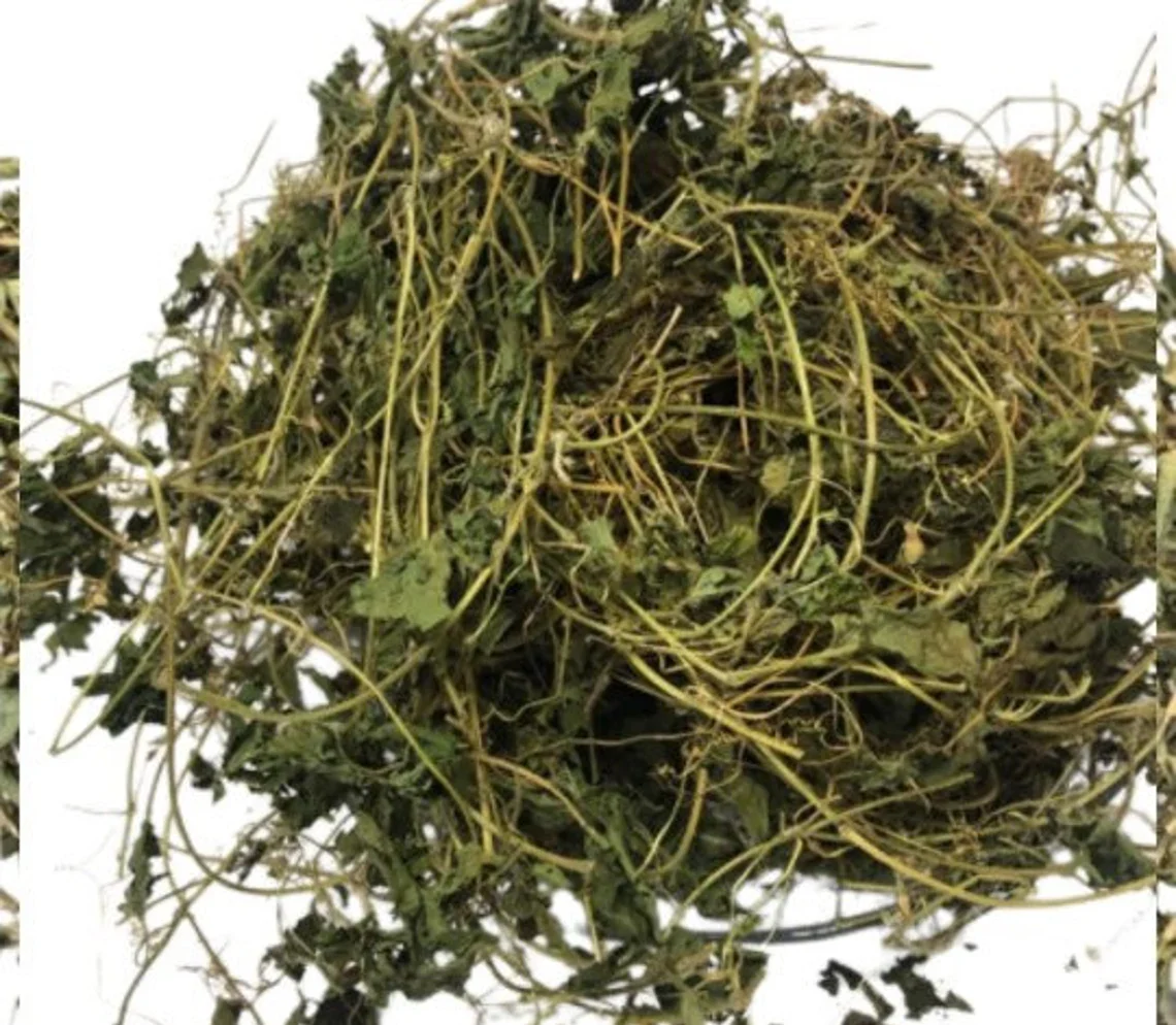 Dried wildcrafted Jamaican Cerasee Herb bitter melon for detox tea
